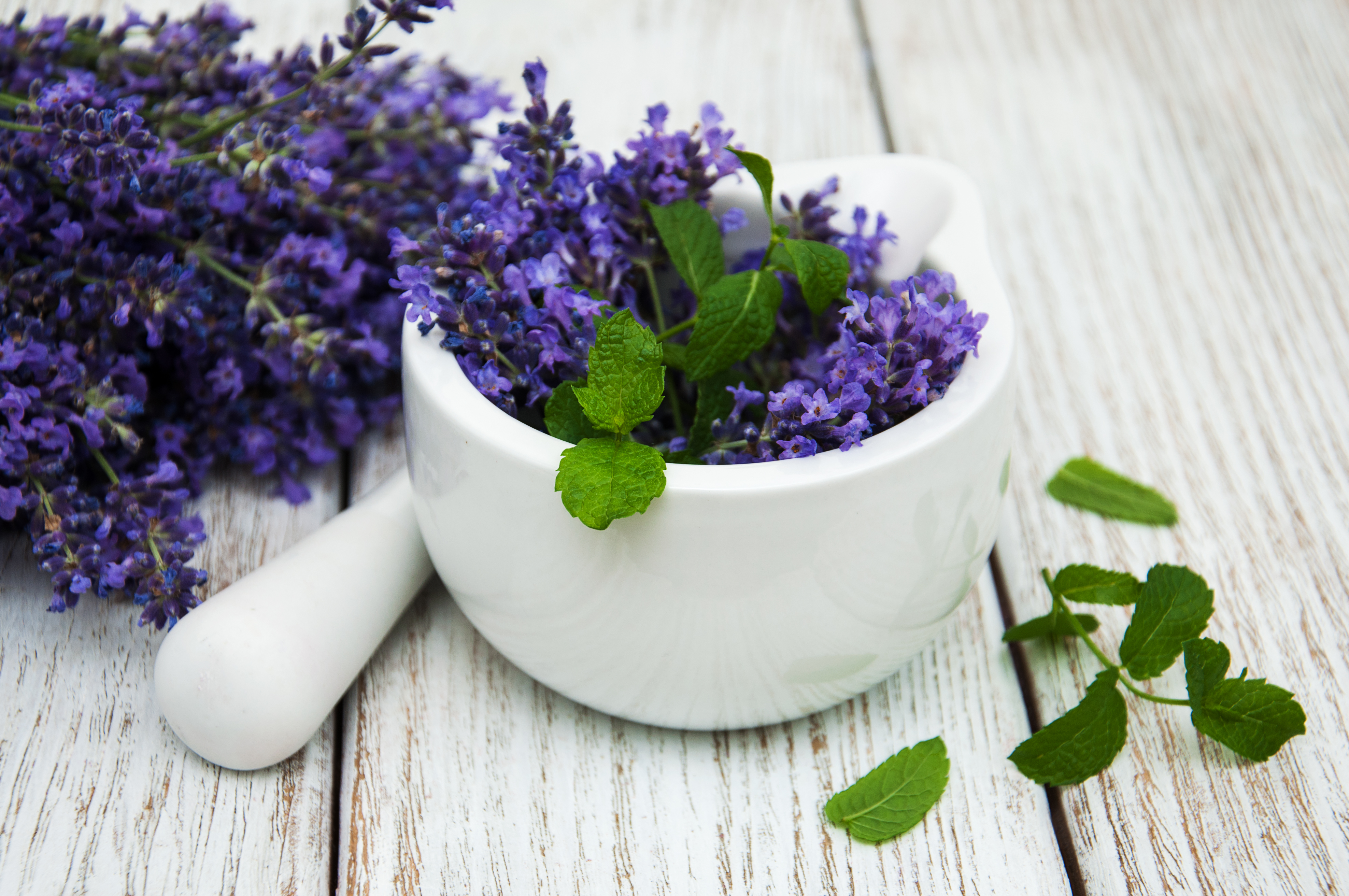 5 средств от насекомых в домашних условиях